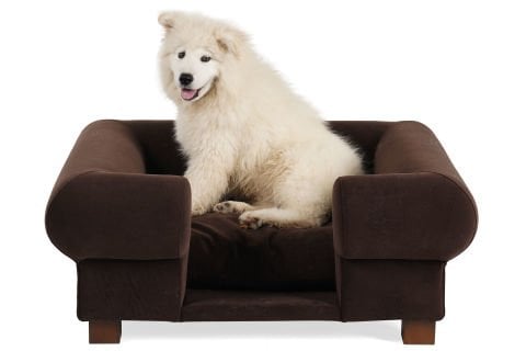 EVCİL HAYVAN KOLTUĞU