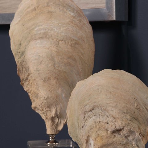 OYSTER SHELL SCULPTURES S/2