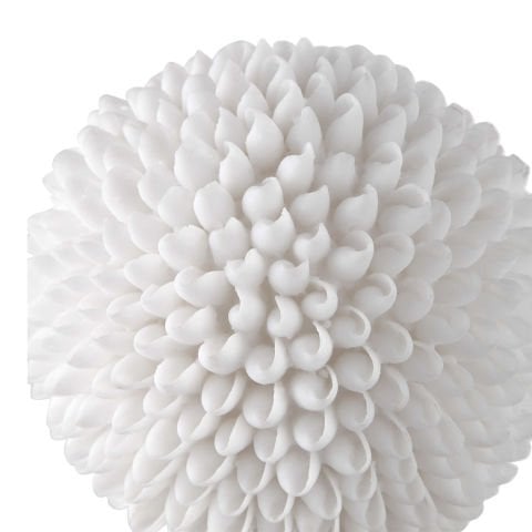 CASCARA SCULPTURE