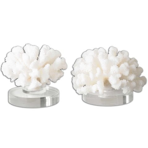 HARD CORAL SET/2