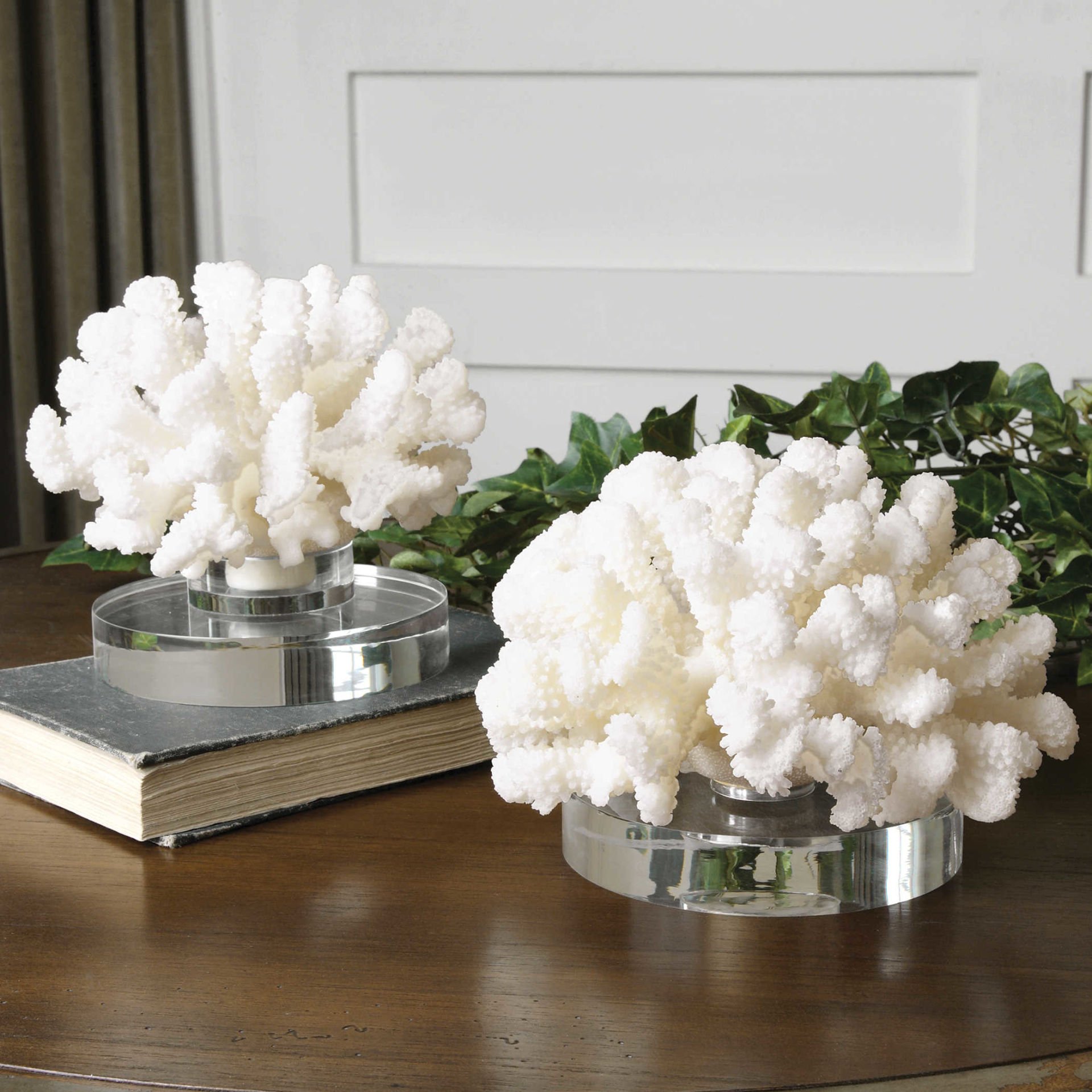 HARD CORAL SET/2
