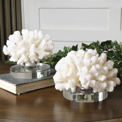 HARD CORAL SET/2
