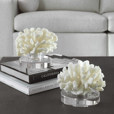 HARD CORAL SET/2