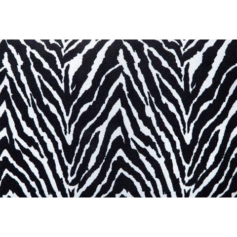 ZEBRA KIRLENT 50x35