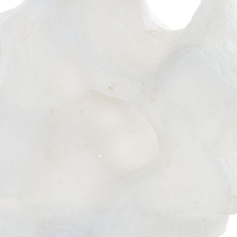 Remnant Sculptures, S/2